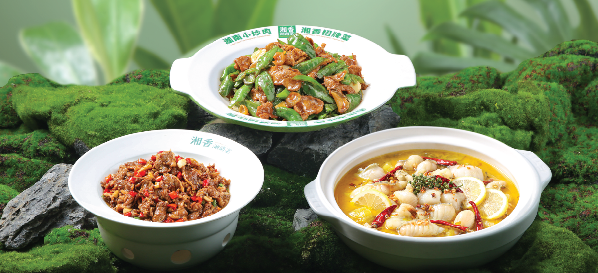 Website Directory Lifestyle.png